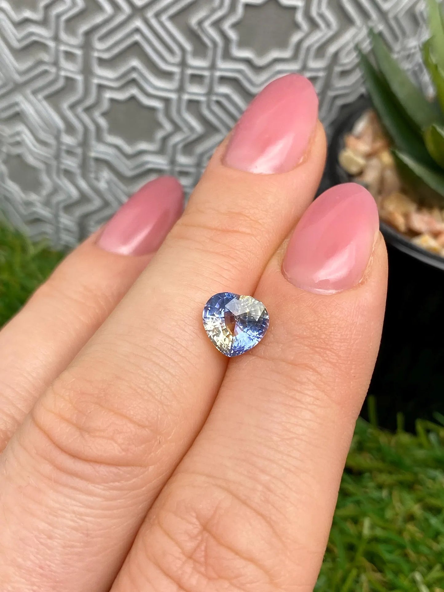 Sapphire Bi-color 2.53Ct natural Unheated gemstone, heart cut, Sri Lanka, Certificate GFCO
