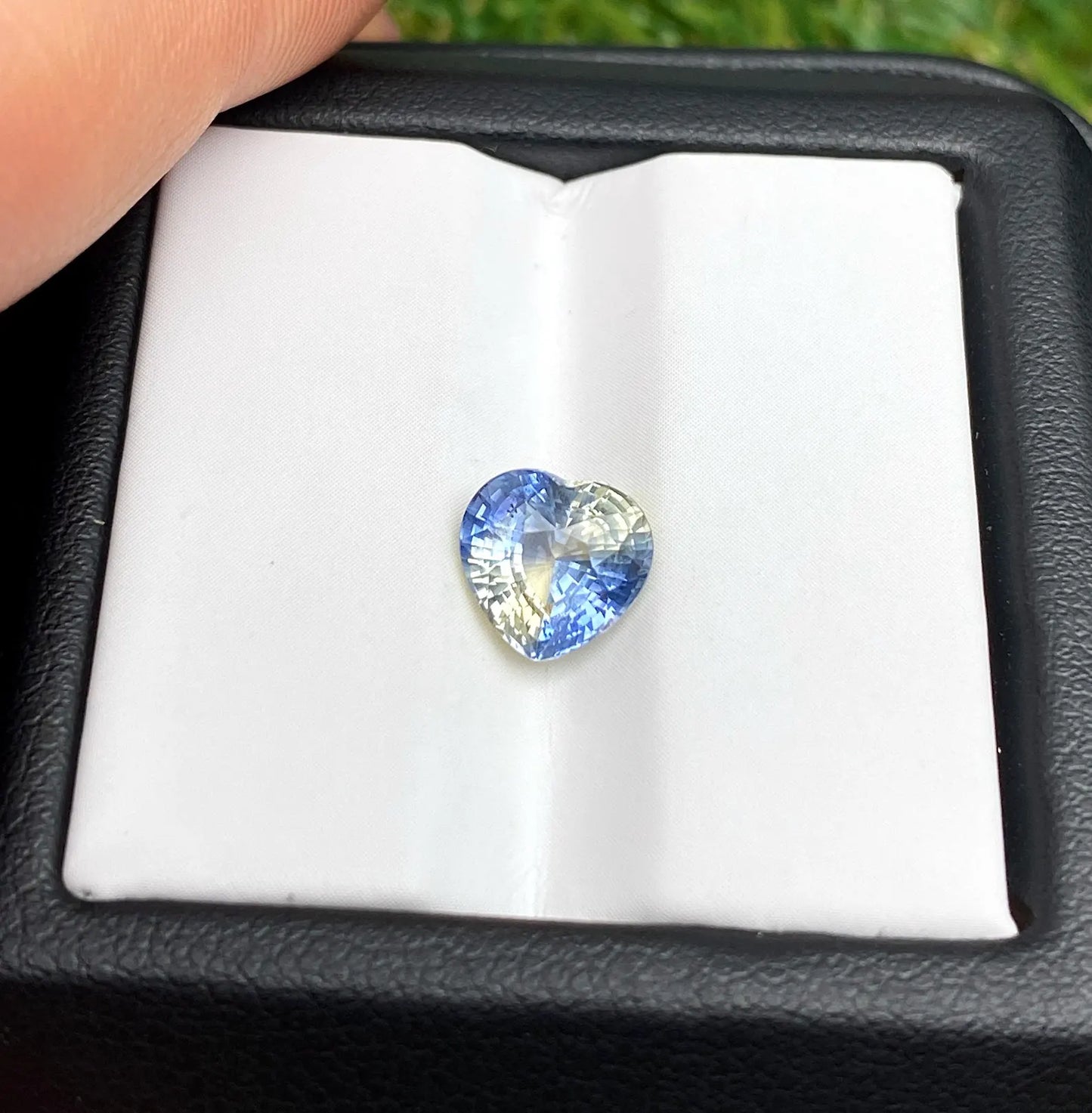 Sapphire Bi-color 2.53Ct natural Unheated gemstone, heart cut, Sri Lanka, Certificate GFCO